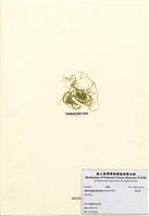 藏品(腸石髮)的圖片